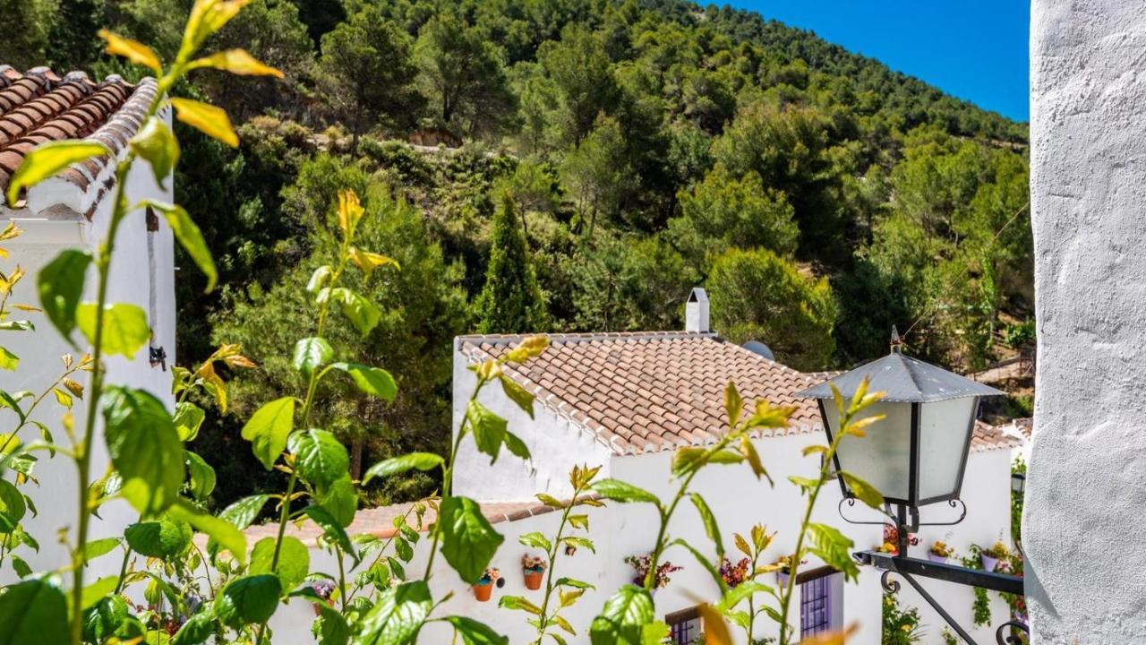 Casa Alhama Frigiliana By Ruralidays别墅 外观 照片